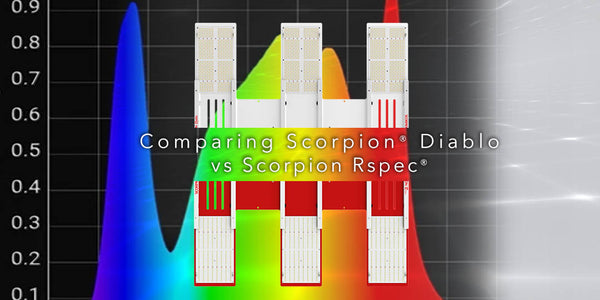 Comparing Scorpion® Diablo vs Scorpion® R spec®