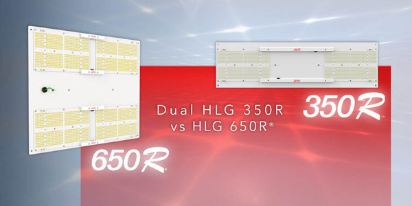 Dual HLG 350R vs HLG 650R